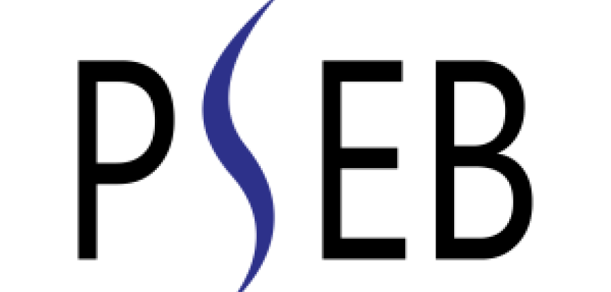 Pakistan Software Export Board (PSEB)